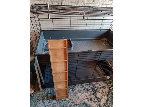 Cavia kooi met twee verdiepingen
