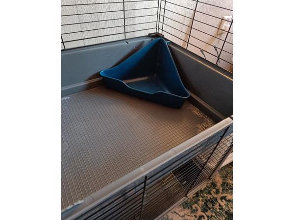 Cavia kooi met twee verdiepingen