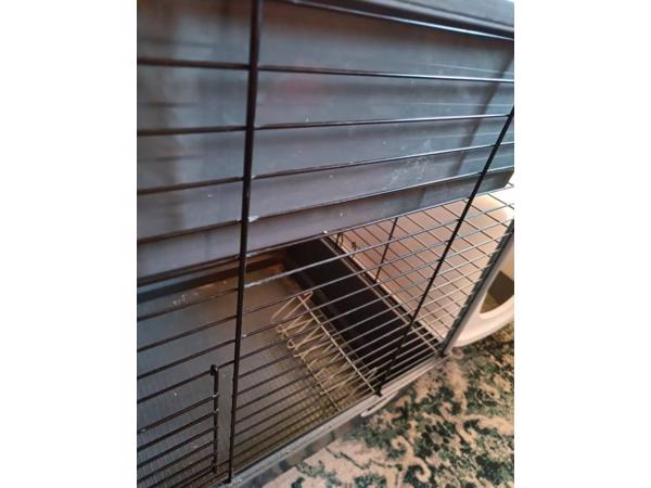 Cavia kooi met twee verdiepingen