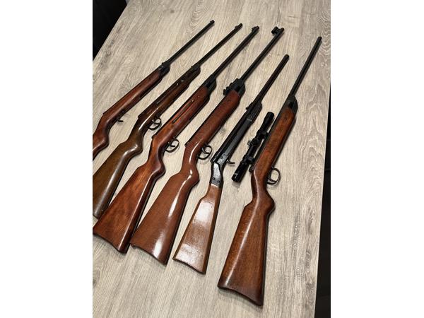 Zes Diana luchtbuksen