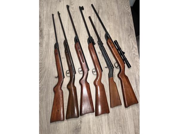 Zes Diana luchtbuksen