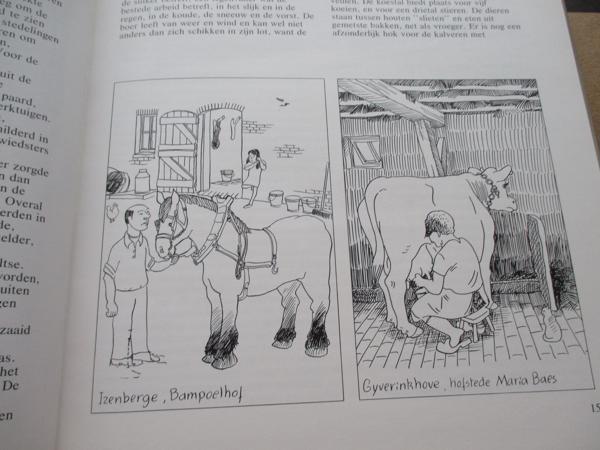 Landelijk leven in Vlaanderen