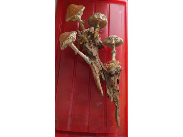 Zelf gemaakte Paddenstoelen