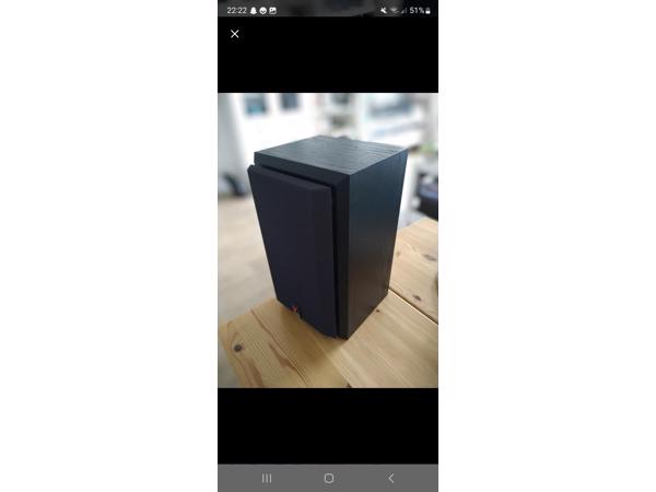 B&W Vision DS1 speaker set