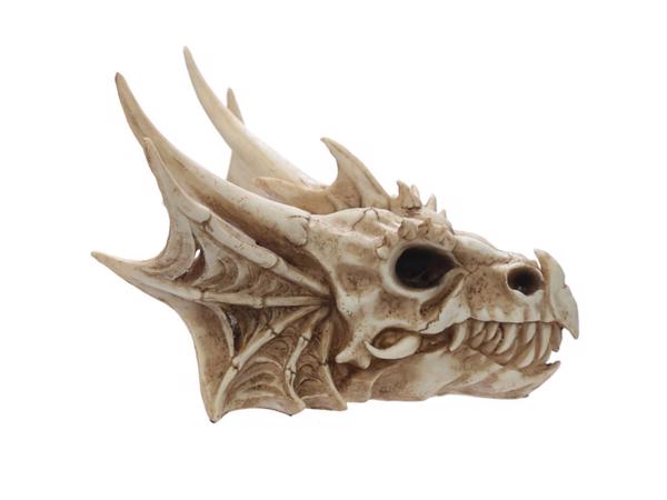 Nieuw Draken schedel fantasy