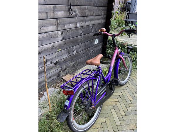 Loekie Fiets 16 inch