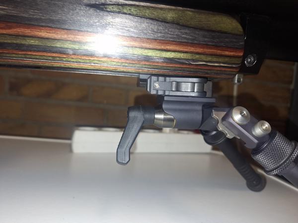 FX Dreamline GRS .22