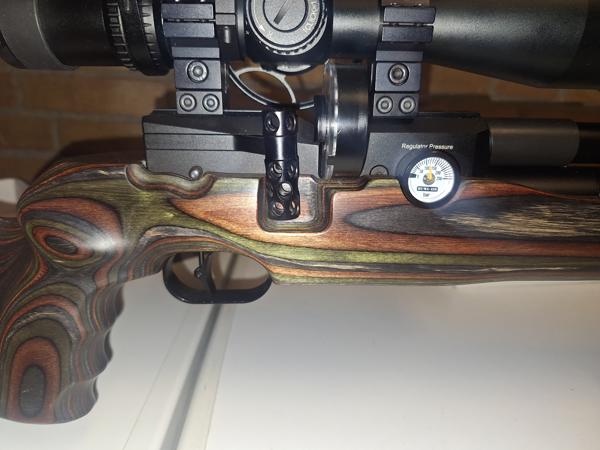 FX Dreamline GRS .22