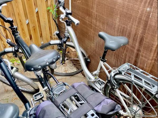 Flyer Elektrische Fietsen Partij en Van Raam Balance €2900