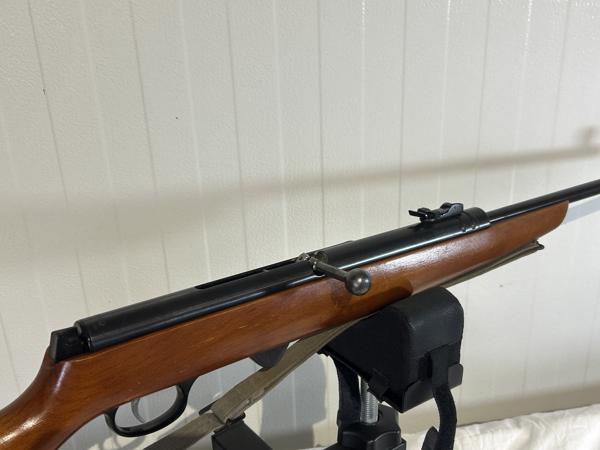 Haenel 310 Carbine 4.4mm Kermisbuks