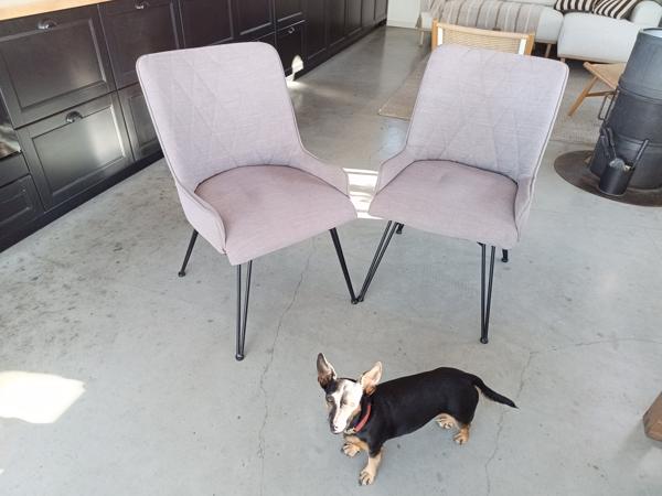 Twee gestoffeerde eetkamerstoelen
