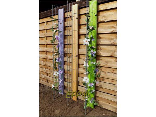 Klimplanten tegen tuinschermen tuinmuren en palen
