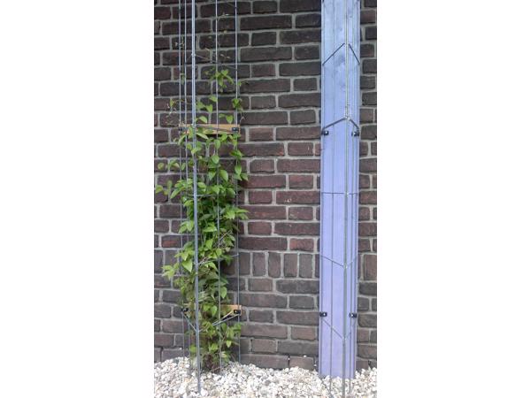 Klimplanten tegen tuinschermen tuinmuren en palen
