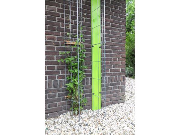 Klimplanten tegen tuinschermen tuinmuren en palen
