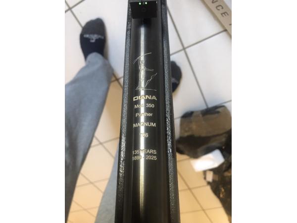 Diana 350 anniversary grey 5.5mm