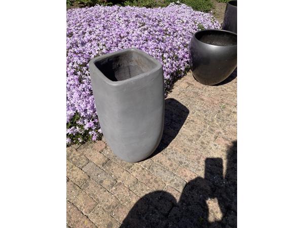 Verschillende bloempotten