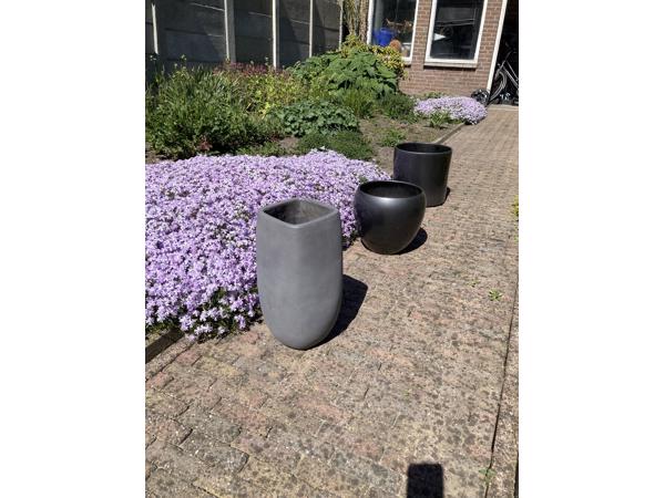 Verschillende bloempotten
