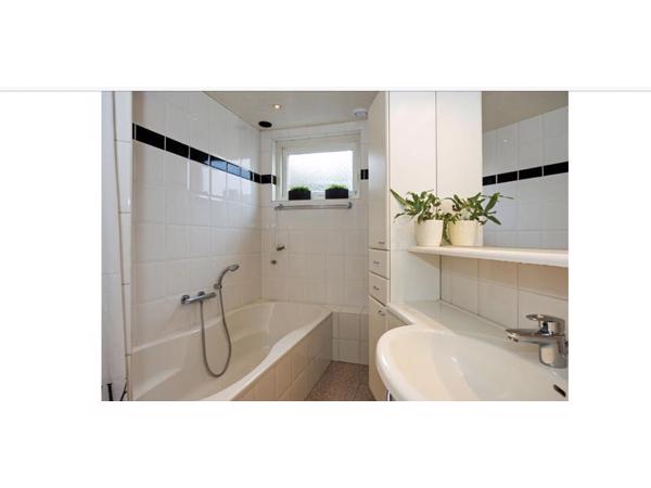 badkamer meubels & kasten en berging