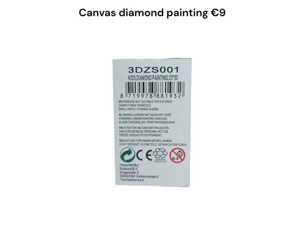 Diamond Painting IJsprinces Frame 30x23cm