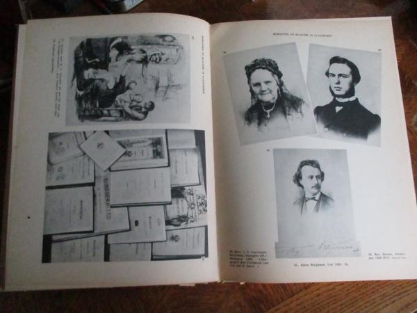 De Nederlandsche  Letterkunde in Beeld