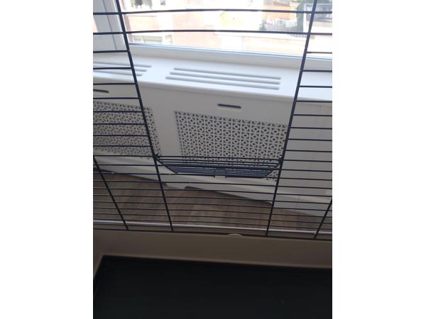 Parkietenkooi met standaard