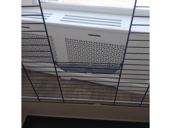 Parkietenkooi met standaard