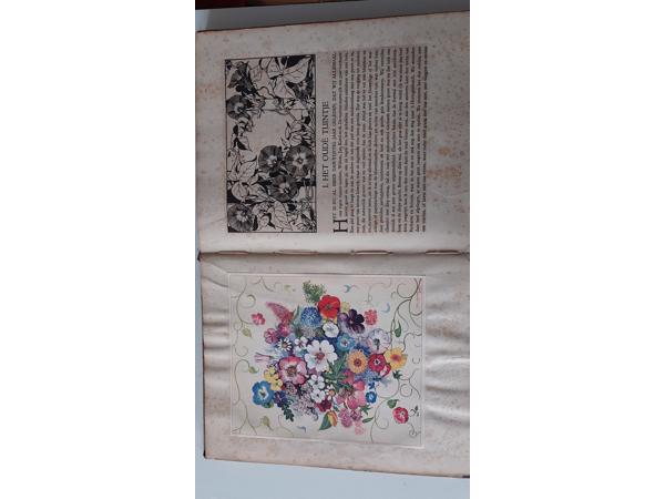 De bloemen in onze tuin, door Dr. Jac. P. Thijsse