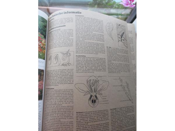 R. Herwig - Het grote Tuin en Kamerplantenboek