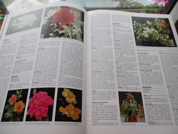 R. Herwig - Het grote Tuin en Kamerplantenboek