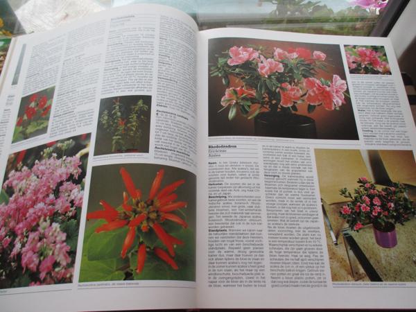 R. Herwig - Het grote Tuin en Kamerplantenboek
