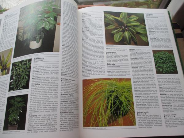 R. Herwig - Het grote Tuin en Kamerplantenboek