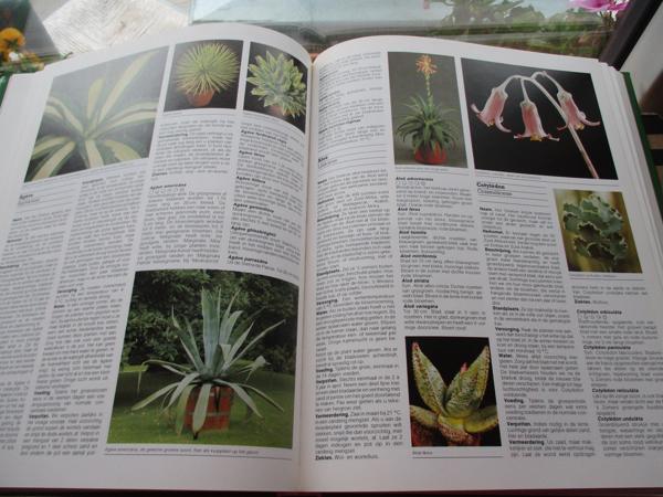 R. Herwig - Het grote Tuin en Kamerplantenboek