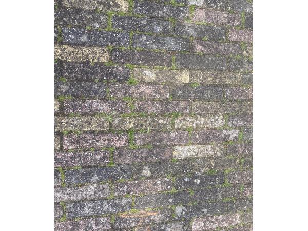 Tegels formaat Waaltjes