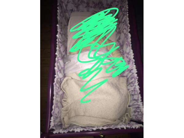 Wiegje met hemeltje en matras