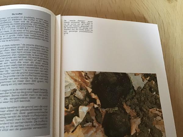 Boek Aquitanië om op reis te gaan in Frankrijk TOP