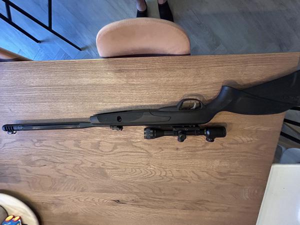 Gamo Black Maximm + Nico Stirling Gold Crown Air King