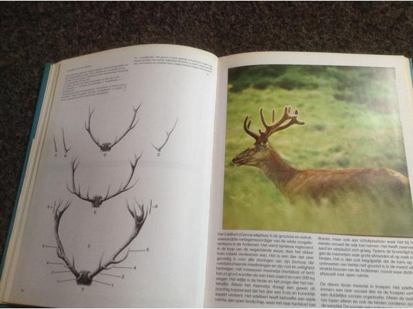 Boek NATUUR en het KLIMAAT en het plantenleed in heel België