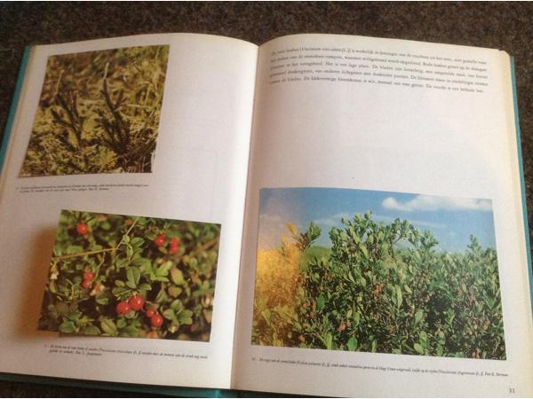 Boek NATUUR en het KLIMAAT en het plantenleed in heel België