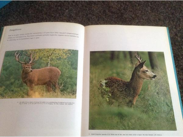 Boek NATUUR en het KLIMAAT en het plantenleed in heel België