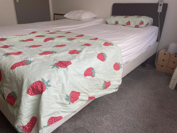 Pullman Elektrisch 1 persoons Bed Hoofeind incl Auping Matras.
