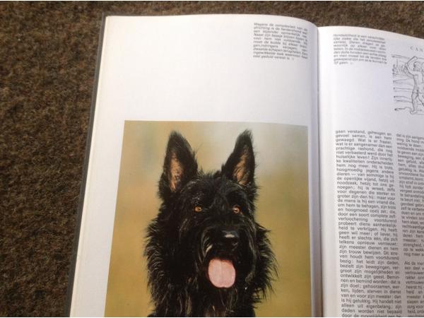 Boek van honden ,lieve en schattige huisdieren ,mensenvriend