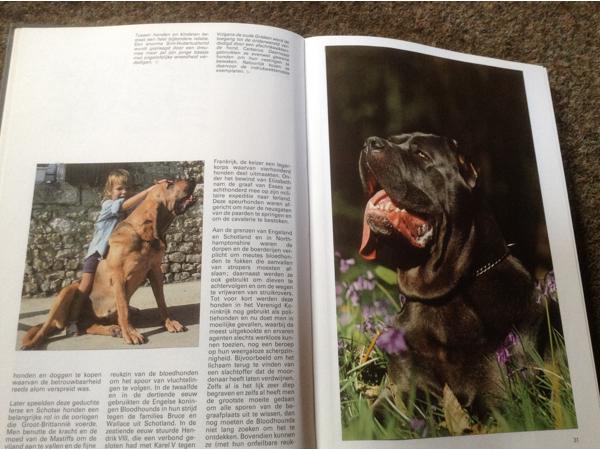 Boek van honden ,lieve en schattige huisdieren ,mensenvriend