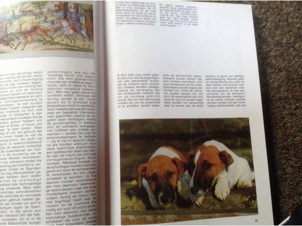 Boek van honden ,lieve en schattige huisdieren ,mensenvriend