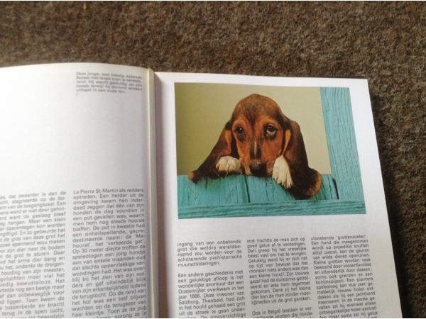 Boek van honden ,lieve en schattige huisdieren ,mensenvriend