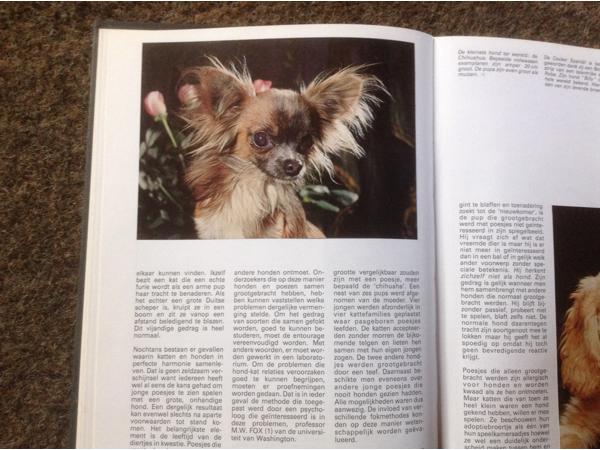 Boek van honden ,lieve en schattige huisdieren ,mensenvriend