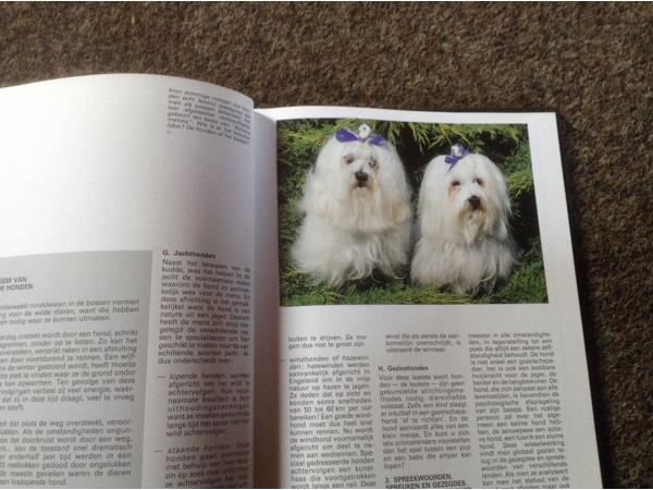 Boek van honden ,lieve en schattige huisdieren ,mensenvriend