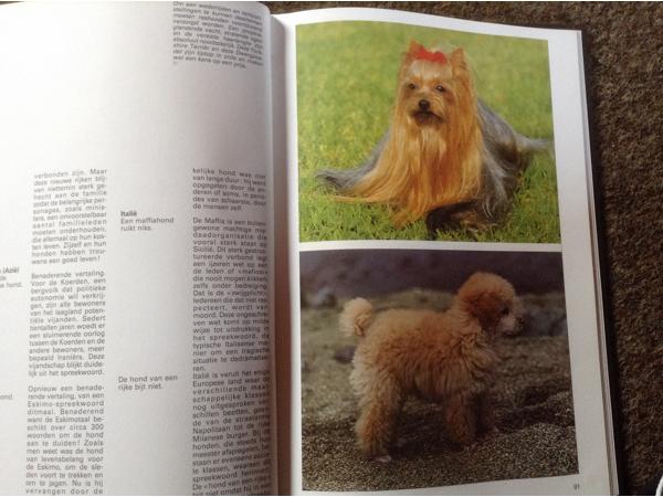 Boek van honden ,lieve en schattige huisdieren ,mensenvriend