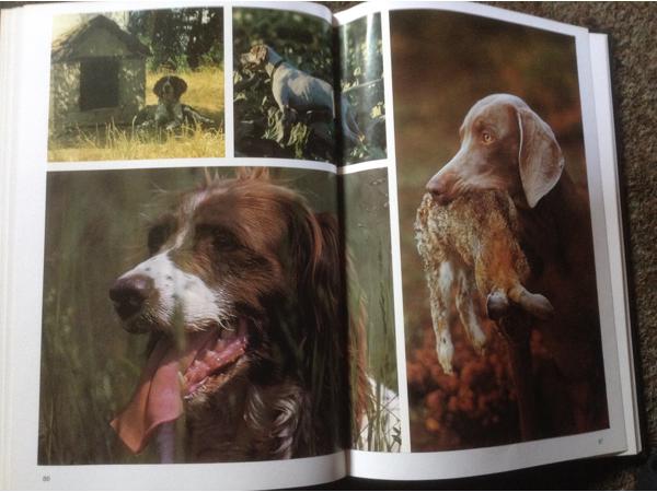 Boek van honden ,lieve en schattige huisdieren ,mensenvriend