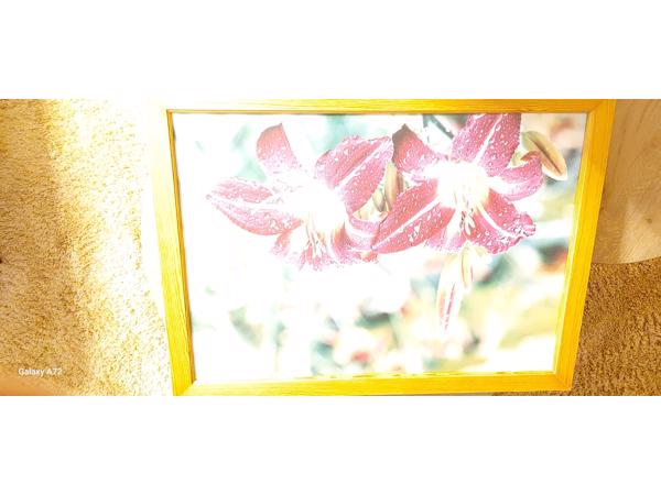 Moderne schilderij zo goed als nieuw