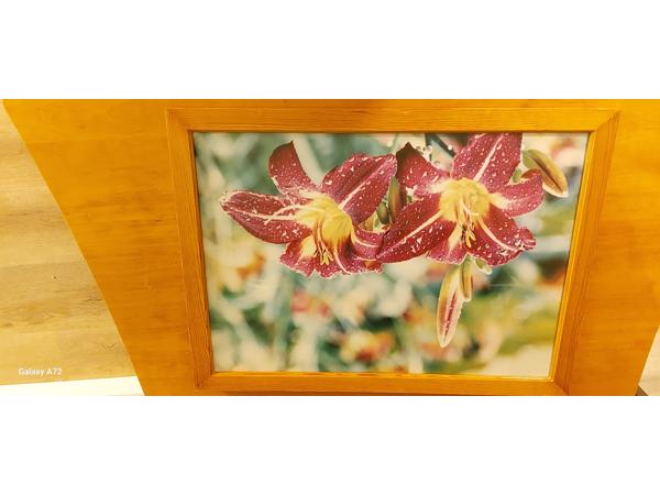 Moderne schilderij zo goed als nieuw